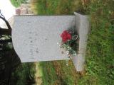 image of grave number 527662